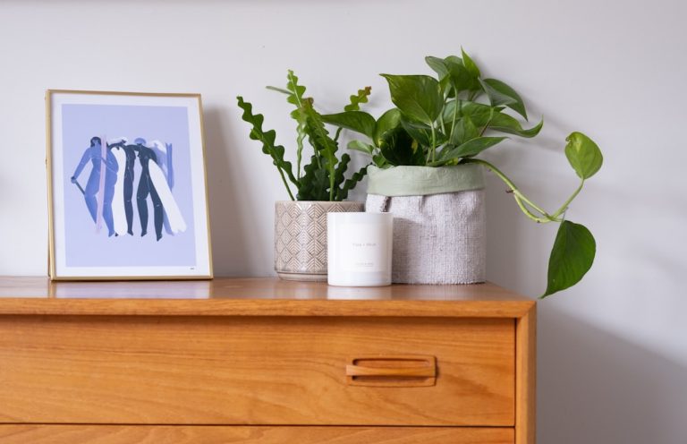 Eco-Friendly Home Decor: Sustainable Style for a Greener Futures