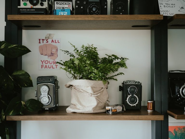 The Art of Decorating: Transforming Spaces with Unique Home Decor Products